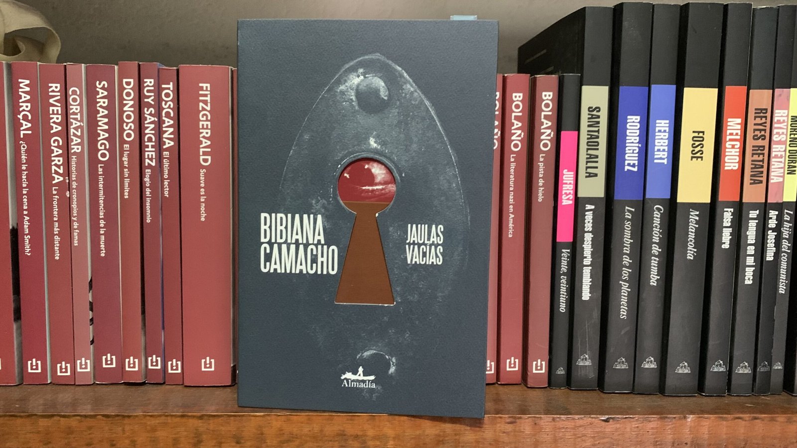 Portada del libro Jaulas vacías de la escritora mexicana Bibiana Camacho en editorial Almadía