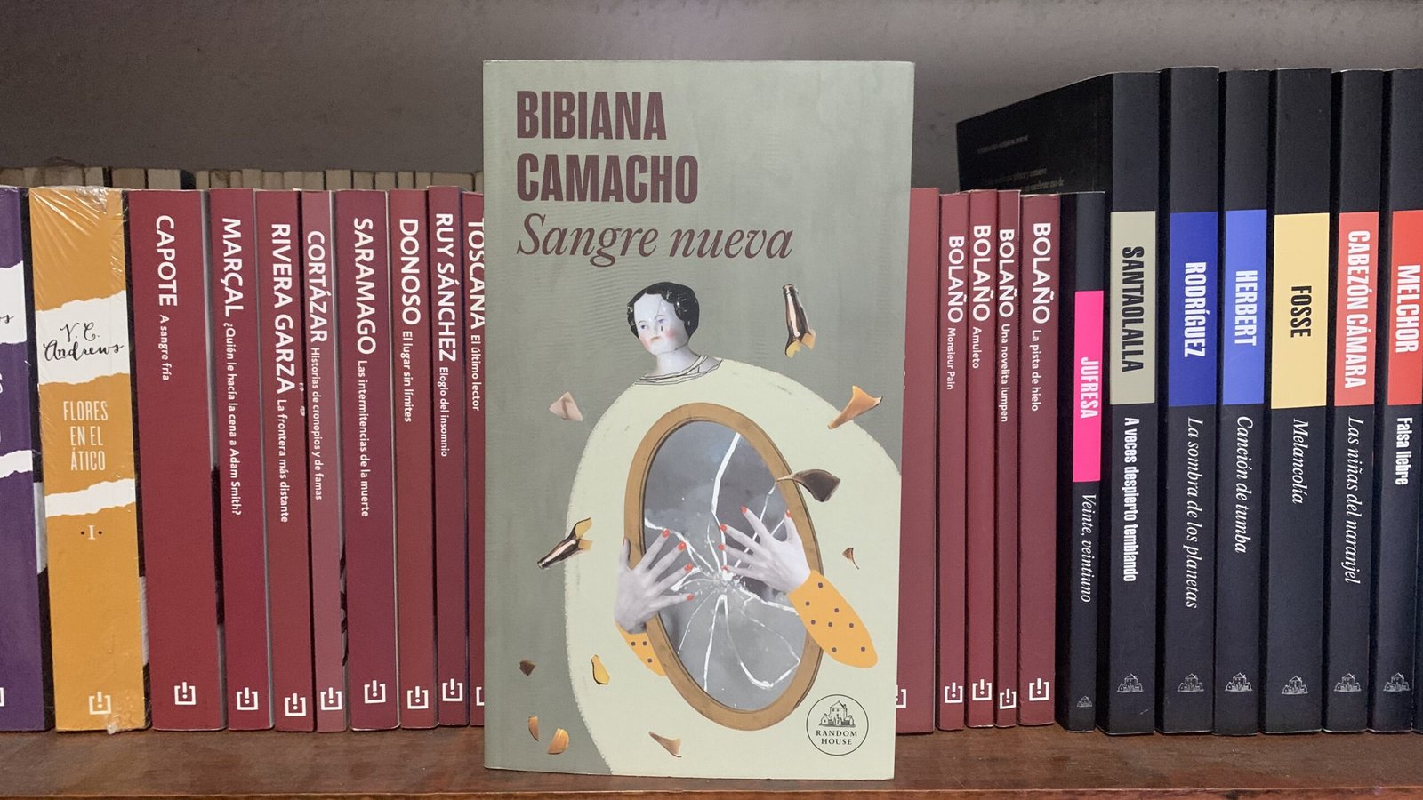 Portada del libro Sangre nueva de la escritora mexicana Bibiana Camacho en editorial Random House