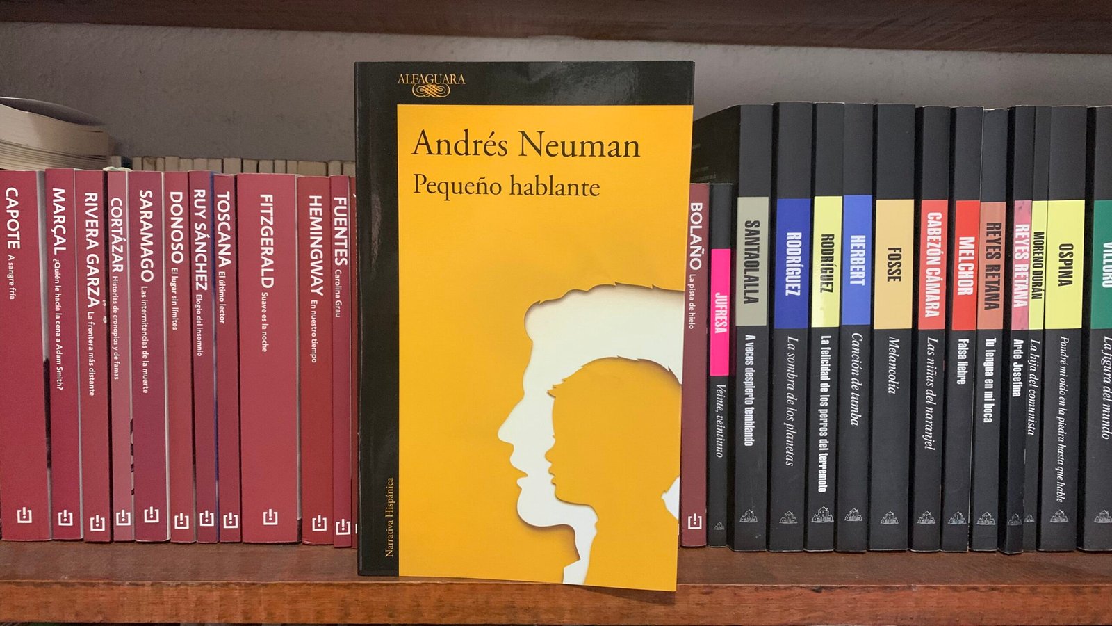 Portada del libro Pequeño hablante del escritor argentino Andrés Neuman en editorial Alfaguara