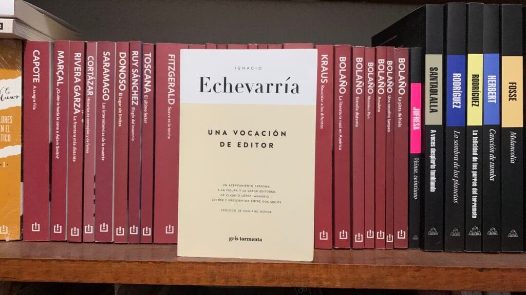 Portada de una vocación de editor del escritor español Ignacio Echerría publicado en 2020 por el sello editorial gris tormenta
