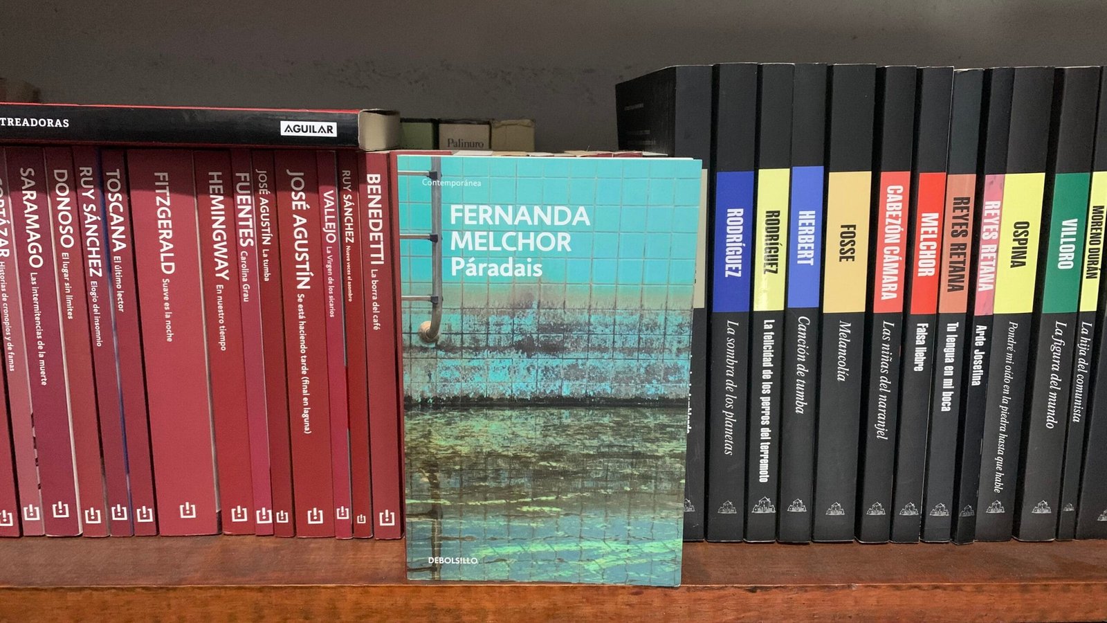 Portada del libro Páradais de la escritora mexicana Fernanda Melchor, publicado originalmente en editorial Random House y después en esta publicación perteneciente a Debolsillo Editorial